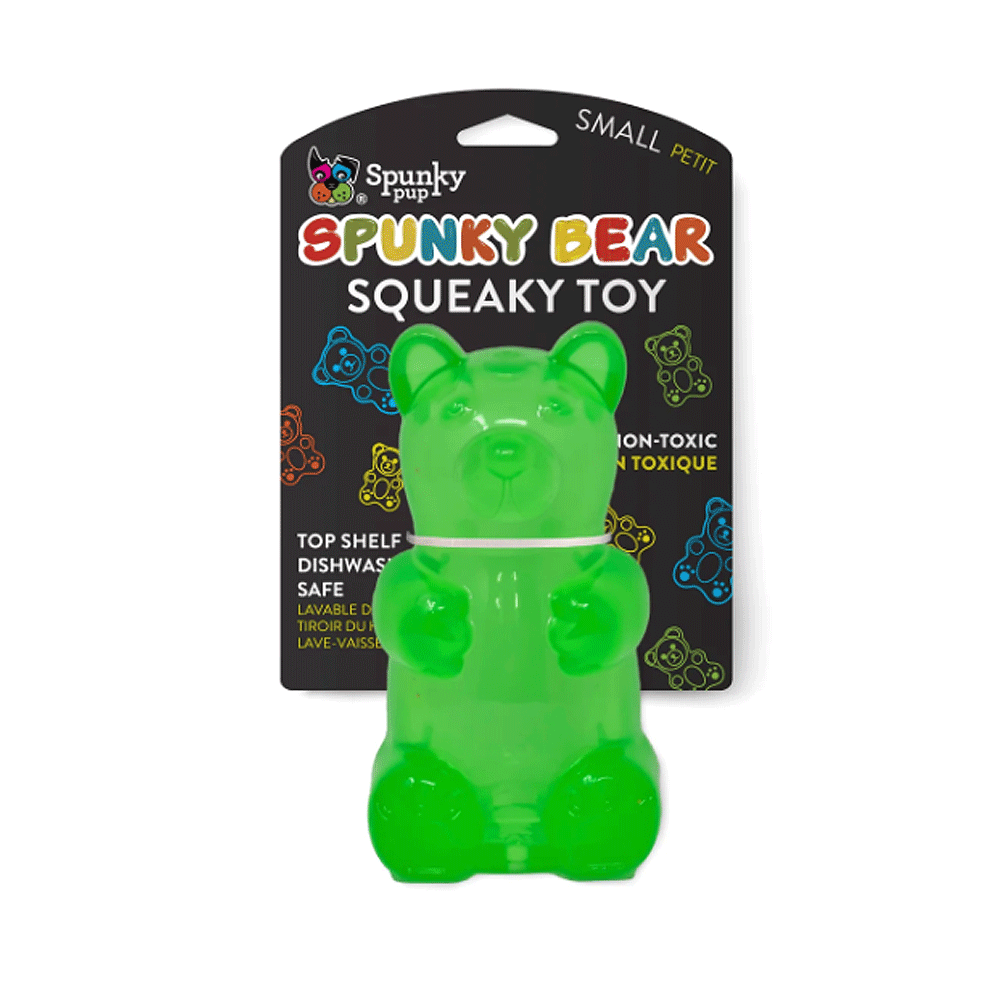 SPUNKY PUP Spunky Bear Squeaky Toy S