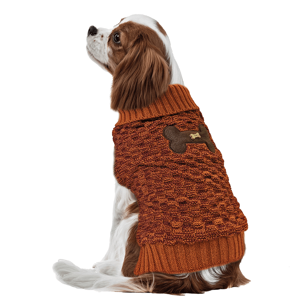 *FASHION PET Bone Accent Sweater Orange XS