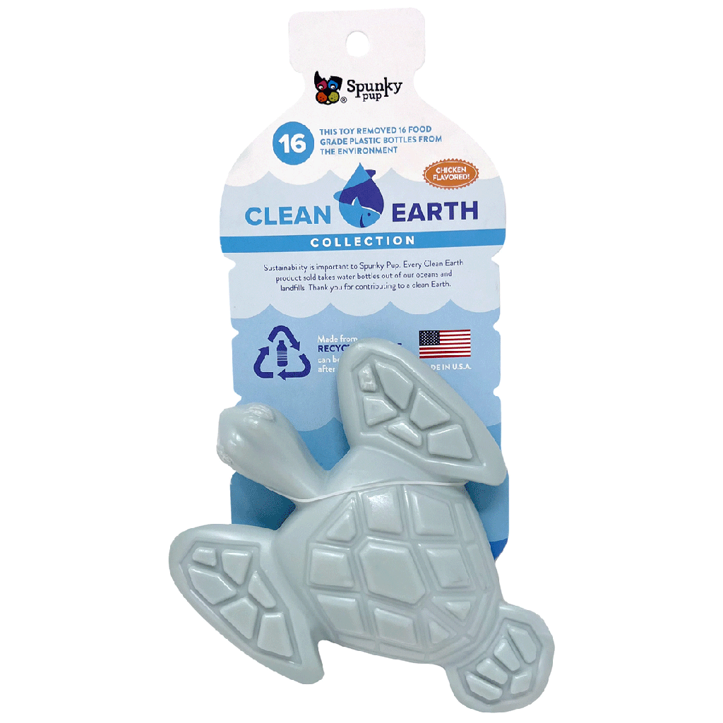 SPUNKY PUP Clean Earth Chew Turtle