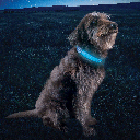 NITE IZE NiteDog Rechargeable LED Collar Cover Disc-O Select