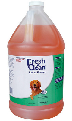 LAMBERT KAY Fresh'n Clean Shampoo Gallon