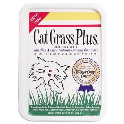 GIMBORN Redi Cat Grass Plus