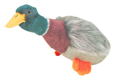 MULTIPET Migrator Mallard L