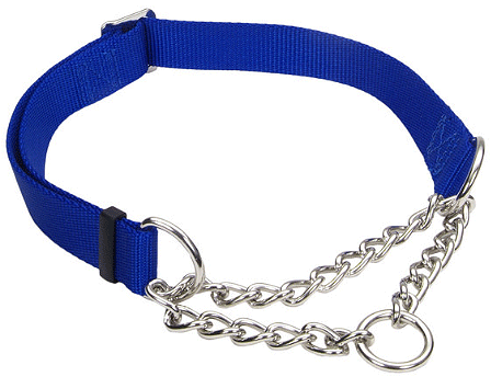 COASTAL Adjustable Check Choke Training Collar 1x17-24 Blue