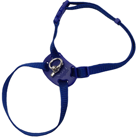 COASTAL Size Right! Cat Harness 3/8x12-18 Blue