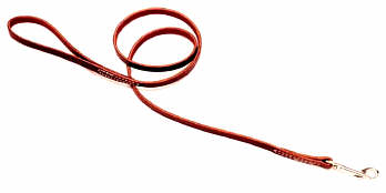 *COASTAL Circle-T Latigo Lead - 4ft x 3/4in