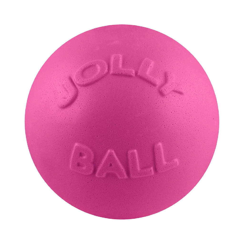 JOLLYPET Bounce-N-Play - 4.5 inch - Pink