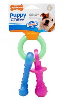 NYLABONE Puppy Teething Pacifier