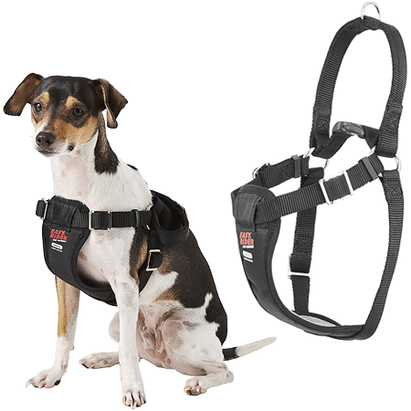 *COASTAL Easy Rider Car Harness - S - Black