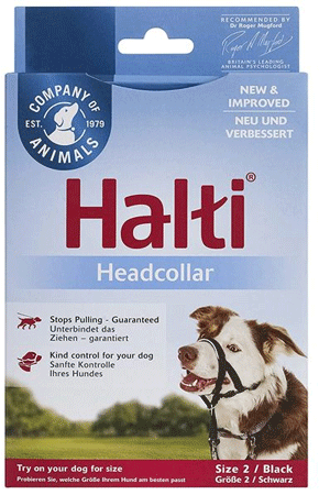 COMPANY OF ANIMALS Halti Head Collar Size 2 Black