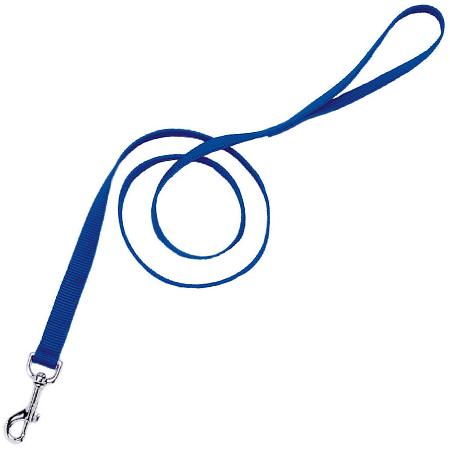 COASTAL Tuff 6' Lead 1in - Blue