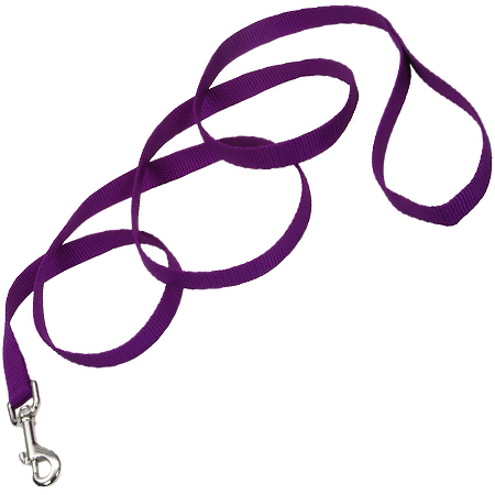 COASTAL Tuff 6' Lead 1in - Purple