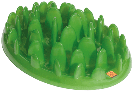 *COMPANY OF ANIMALS Green Slow Feeder Dog Bowl