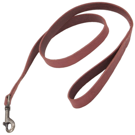 COASTAL Rustic Leather Leash - 3/4 In x 6' - Brick Red