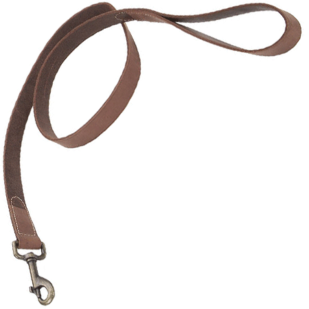 COASTAL Rustic Leather Leash - 3/4 In x 6' - Chocolate