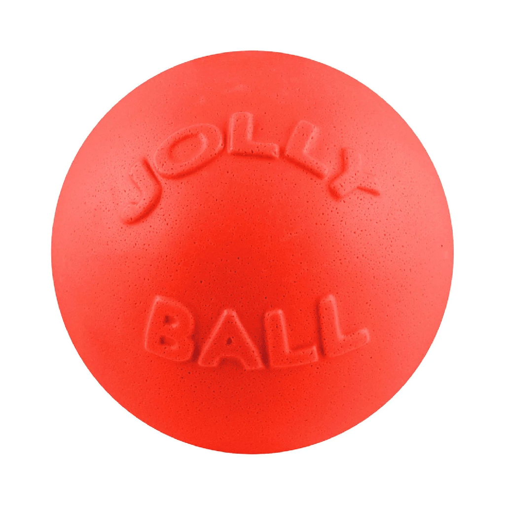 JOLLYPET Bounce-n-Play 6inch Orange