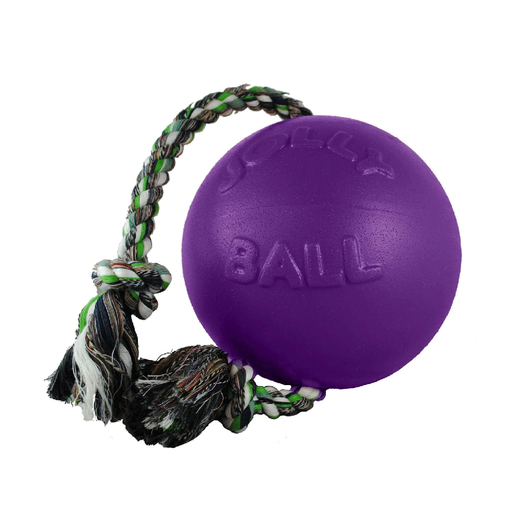 JOLLYPET Romp-n-Roll 6in. Purple M