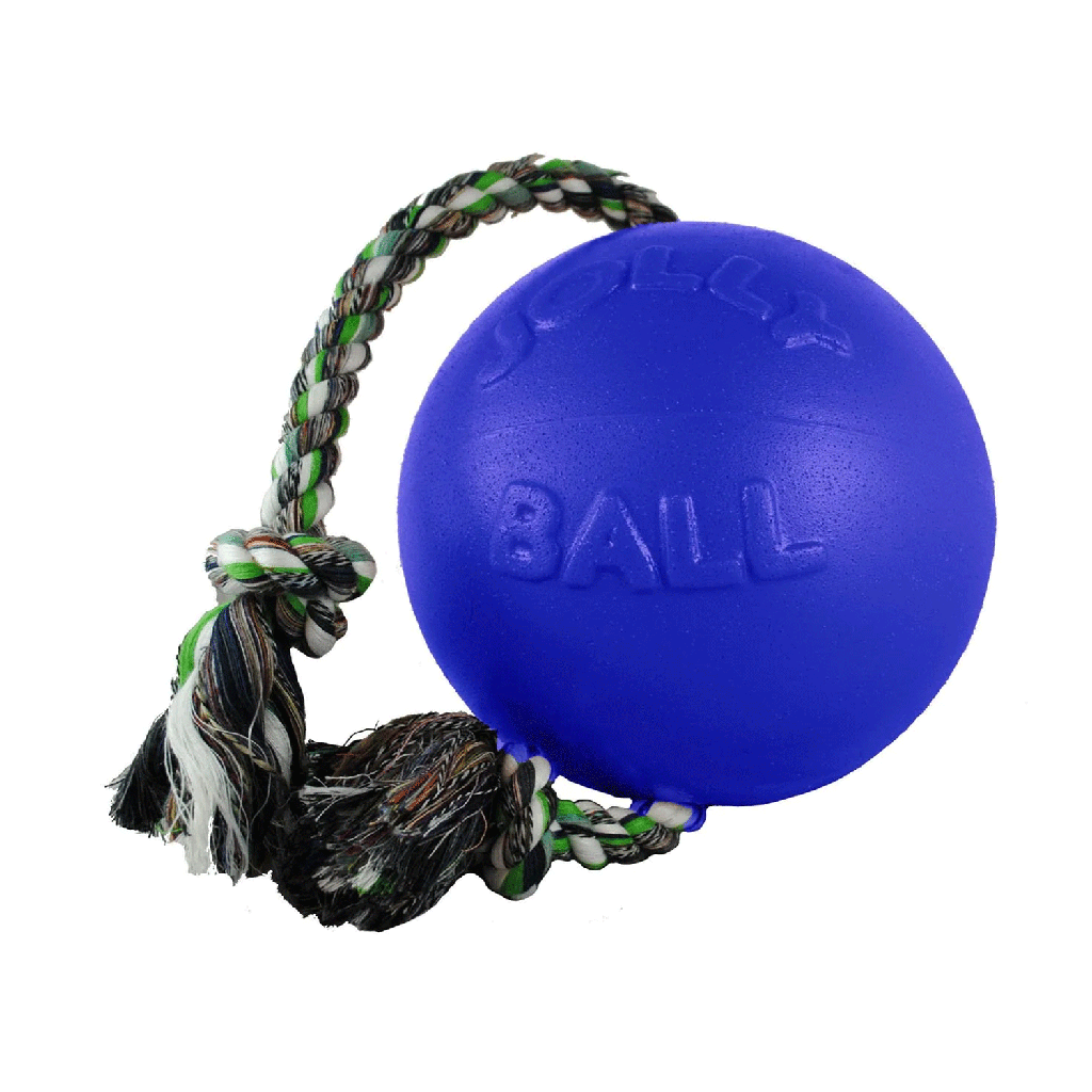 JOLLYPET Romp-n-Roll 6in. Blue M