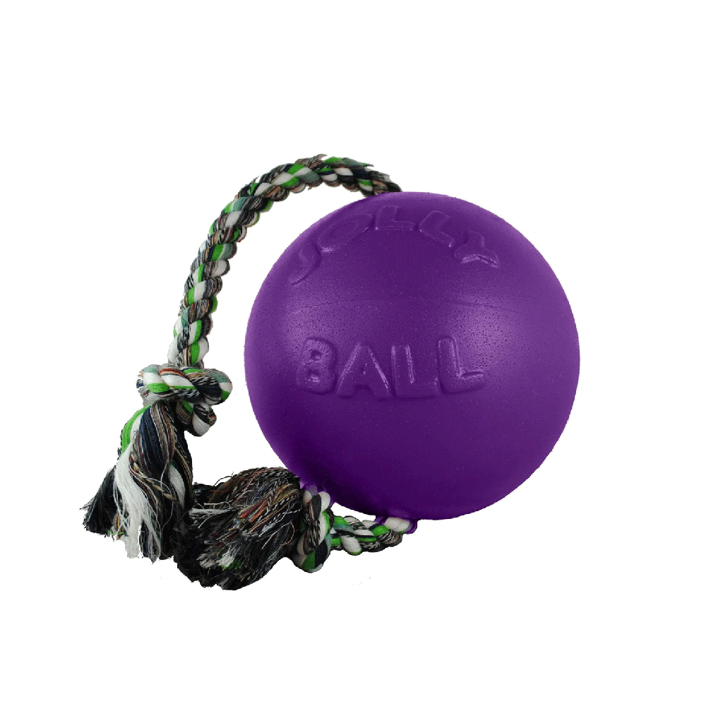 JOLLYPET Romp-n-Roll 4.5in. Purple S