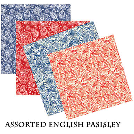 BANDANNA English & Prims Paisley Asst