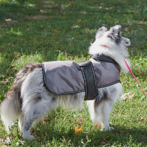 [FP75256 XS GREY] OUTDOOR DOG Arctic Coat Grey XS