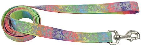 [CA46436 RAINBOW] *COASTAL LazerBrite Patterned Leash 5/8 x 6' Rainbow Hearts