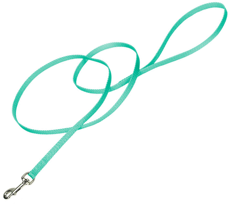 [CA306 TEAL] COASTAL Nylon Lead 6' x 3/8in Teal