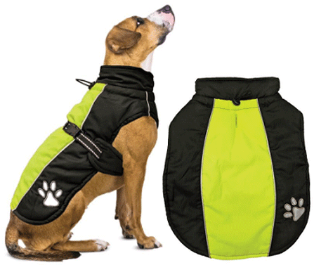 [FP70288 L] *FASHION PET Sporty Jacket Black/Green L