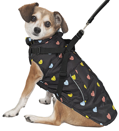 [FP70341 S] *FASHION PET Puffy Heart Harness Coat Black S