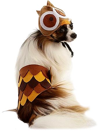 [FPH10319 M/L] *FASHION PET Halloween Costume Owl M/L