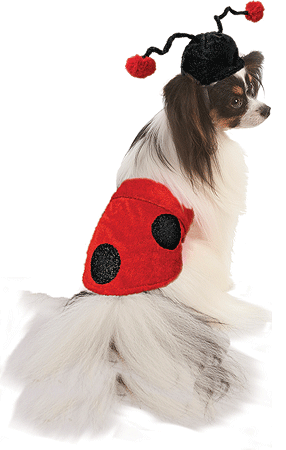 [FPH10512 XS/S] *FASHION PET Halloween Costume Ladybug XS/S