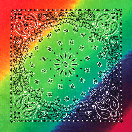 [BAN100046] BANDANNA Paisley Rainbow 12pk