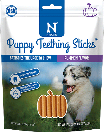 [NB80051] N-BONE Puppy Teething Sticks Pumpkin 17ct