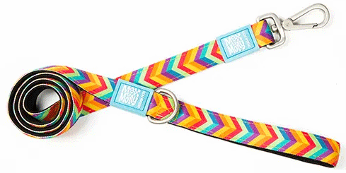 [MAX00650] *MAX&MOLLY Classic Neoprene Leash Summertime M 7/8" x 4'