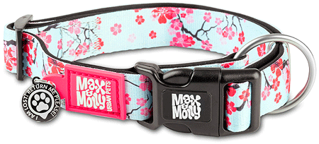 [MAX05024] *MAX&MOLLY Smart ID Dog Collar Cherry Bloom M 13-21"