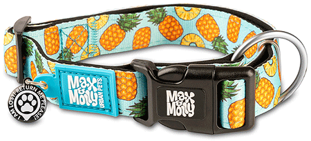 [MAX05304] MAX&MOLLY Smart ID Dog Collar Sweet Pineapple M 13-21"