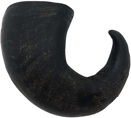 [WE20382] WILD EATS Water Buffalo Horn M