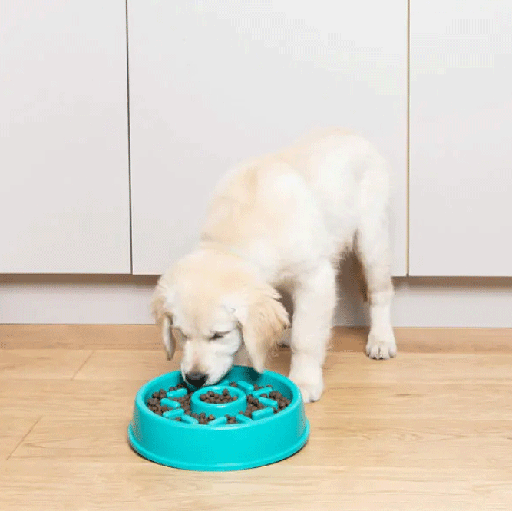 [ZP01429] ZIPPYPAWS Happy Bowls Donut