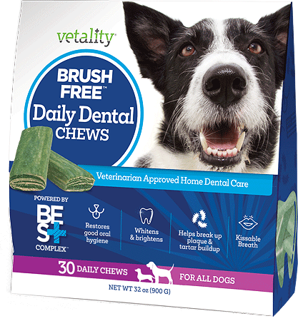 [TEV30065] *VETALITY Brush-Free Daily Dental Chews for Dogs 30ct 32oz