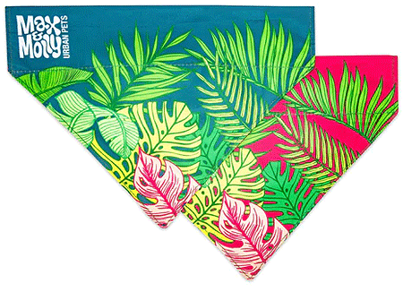 [MAX02531] *MAX&MOLLY Bandana Tropical M/L