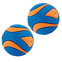 [PMT33068] CHUCKIT Ultra Squeaker Ball 2pk M