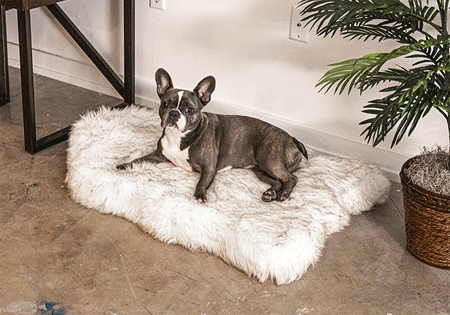 [PUP91020] PAW PupRug Faux Fur Orthopedic Dog Bed Curve White w/Brown Accents S/M