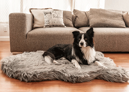 Puprug faux fur memory foam 2024 orthopedic bed