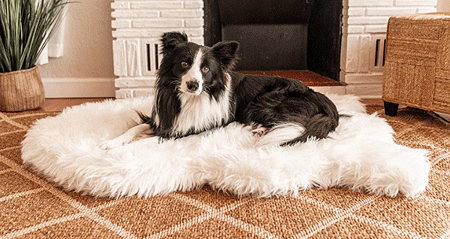 [PUP91168] *PAW PupRug Faux Fur Orthopedic Dog Bed Curve Polar White S/M