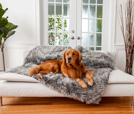 [PUP91193] *PAW PupProtector Waterproof Throw Blanket Faux Fur Charcoal Grey Original