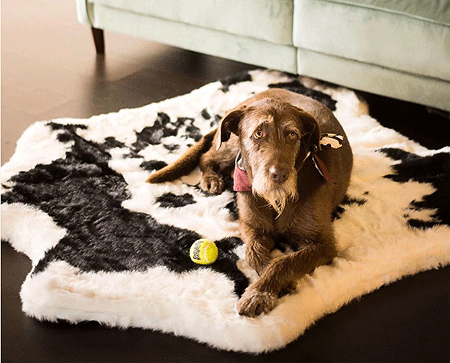 [PUP91031] PAW PupRug Animal Print Memory Foam Dog Bed Black Faux Cowhide Original