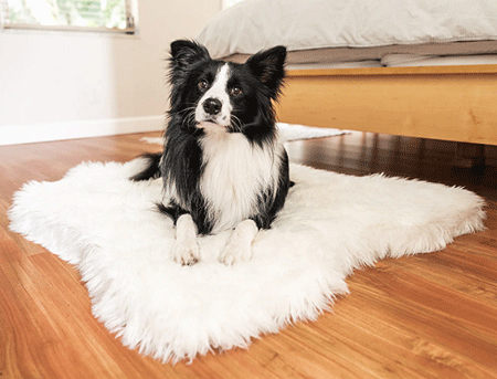 PUP RUG Faux Fur Animal Print White Cowhide Jr