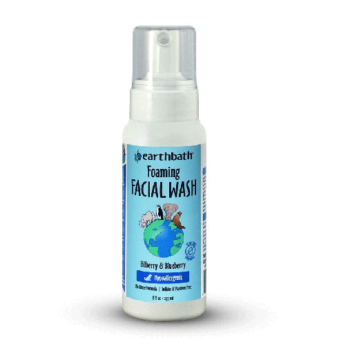 [EB02814] EARTHBATH Foaming Facial Wash 8oz