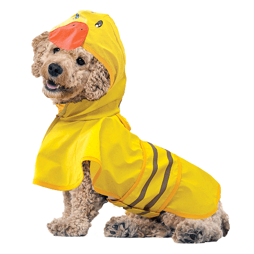 [FP30038 L] *FASHION PET Just Ducky Raincoat L