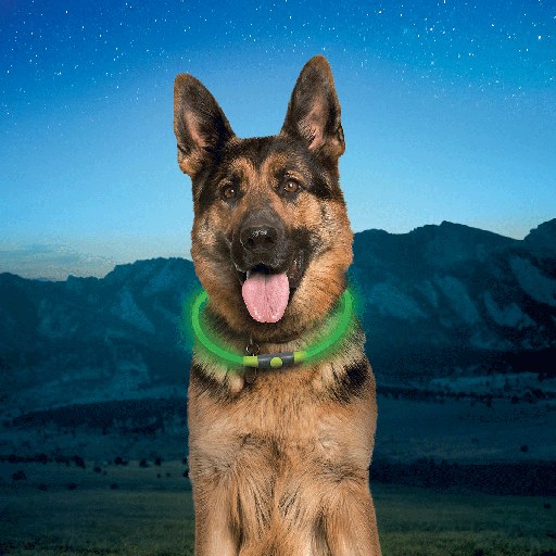 [NZ05706] NITE IZE NiteHowl LED Safety Necklace Rechargeable Green